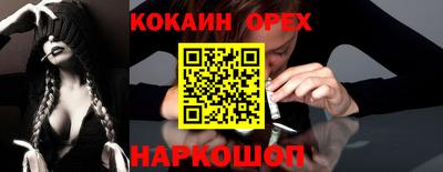 стафф Кингисепп