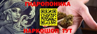 стафф Кингисепп